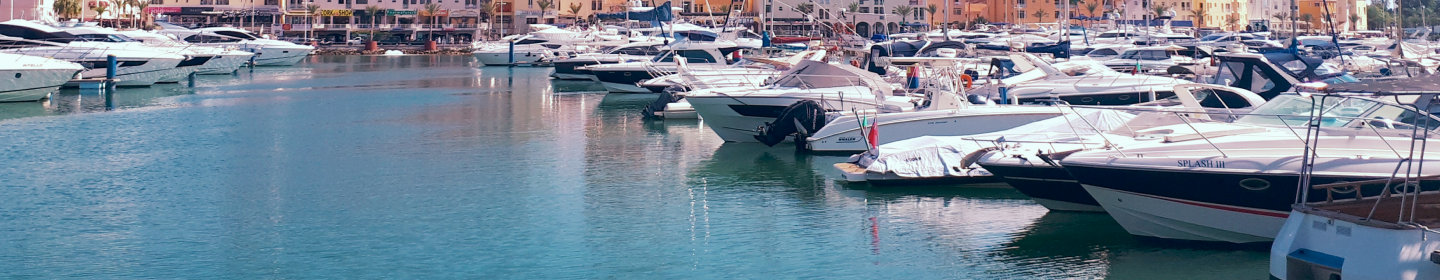 boats in the harbor