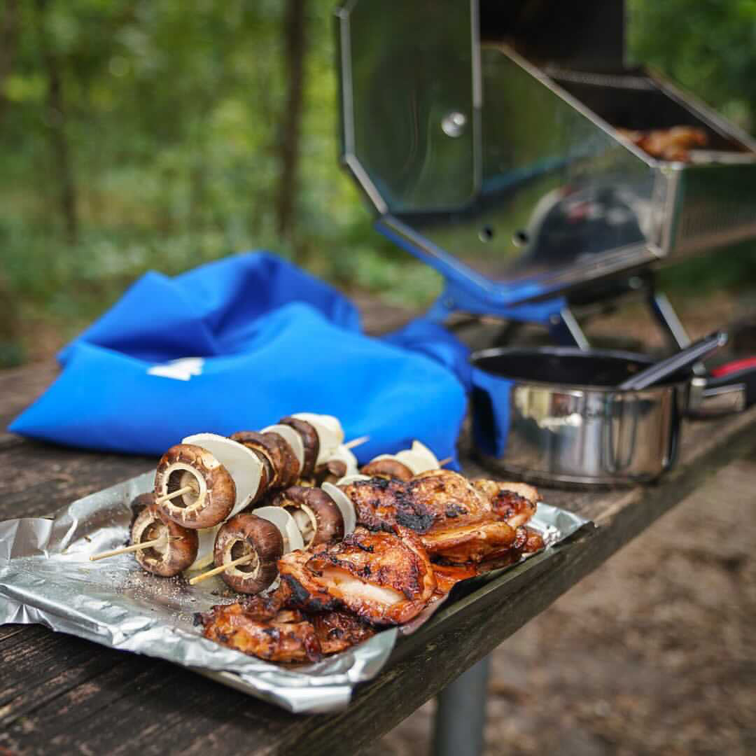 grilled kabobs on the Magma grill