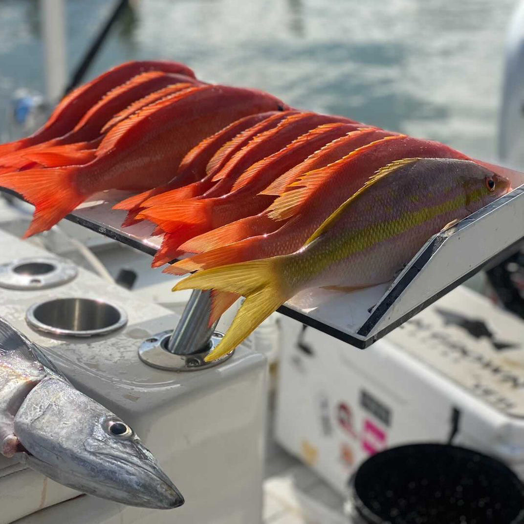 fresh catch of fish laid out on Magma bait and fillet table